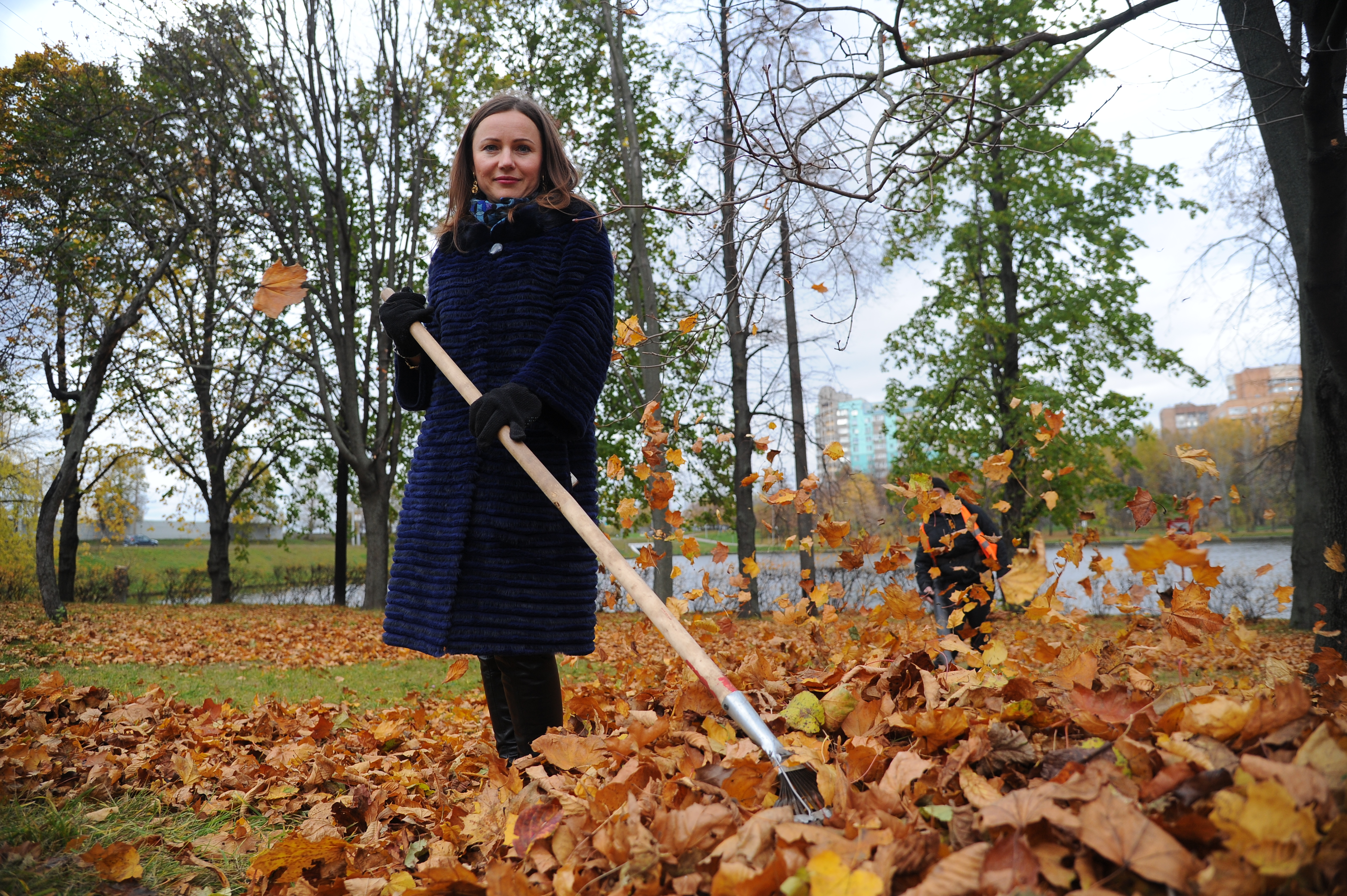 Жители столицы определят время уборки листьев во дворах. Фото: архив, «Вечерняя Москва»